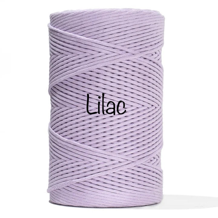 Macrame Pocket Air Plant Hanger