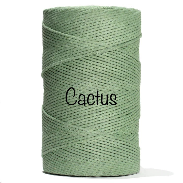 Macrame Pocket Air Plant Hanger