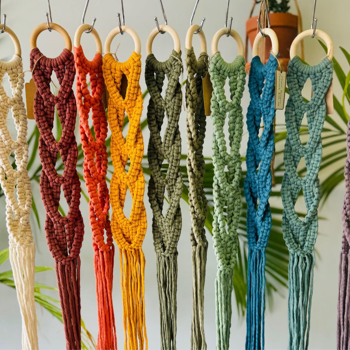 Macrame Braided Plant Hanger Workshop