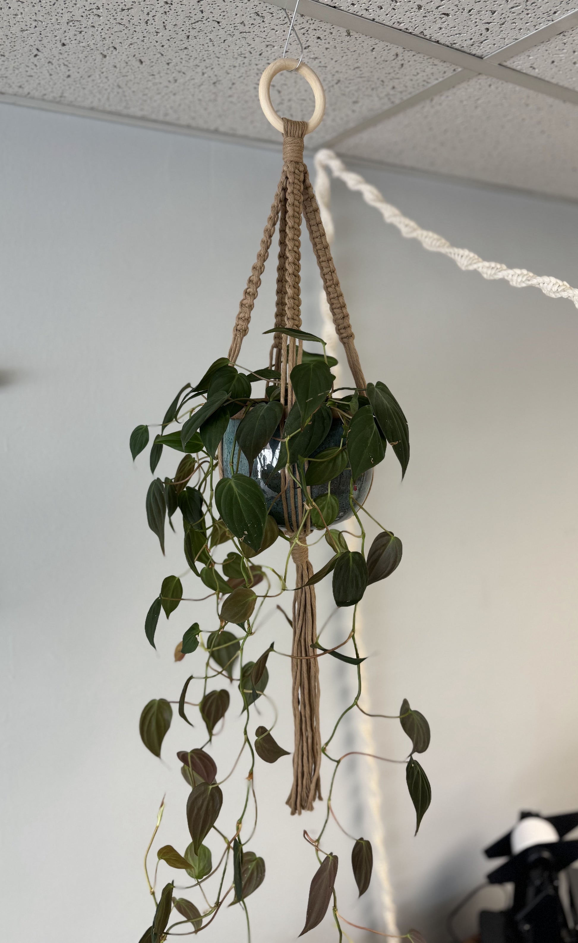 macrame leaf plant hanger Macrame Plant Hanger Workshop – Earth Knots LLC